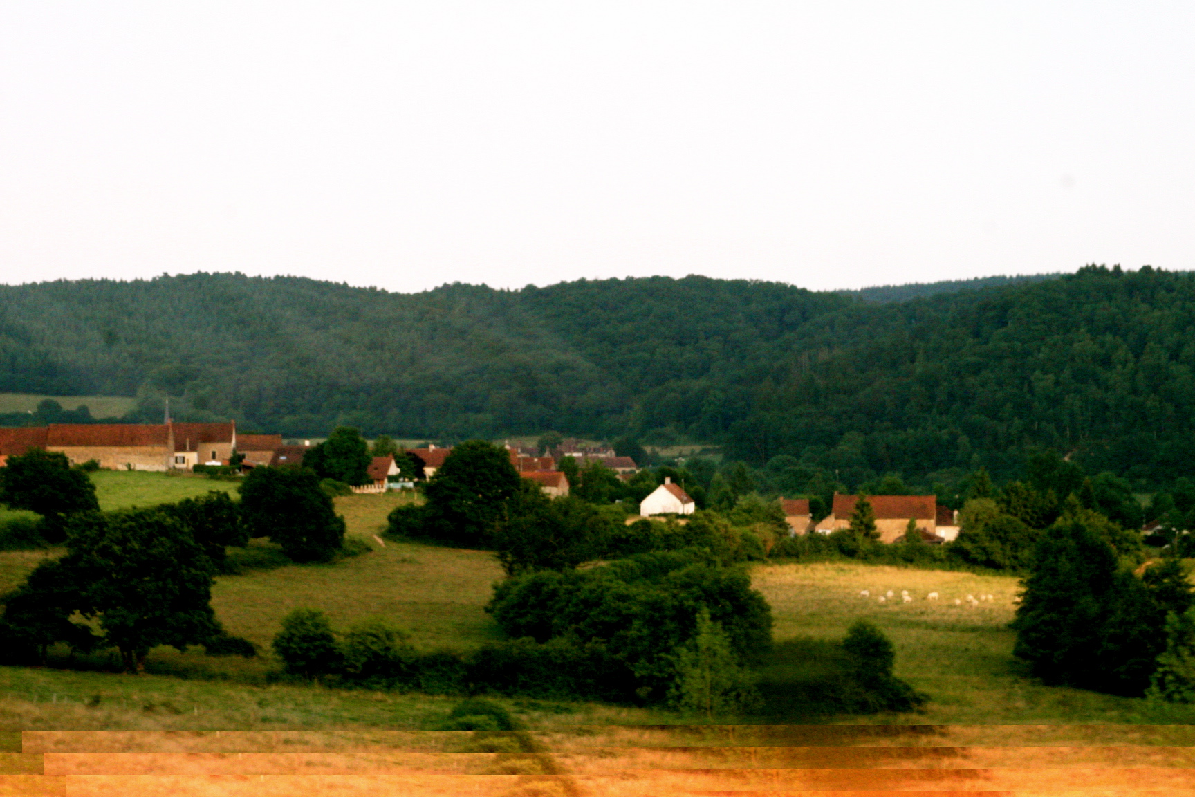 French Countryside as viewed while on the TGV
