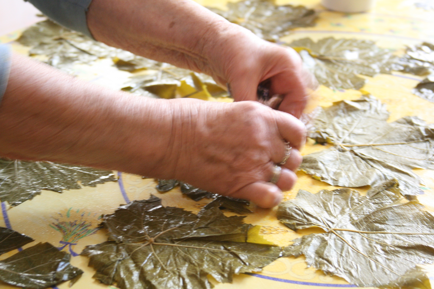 rolling grape leaves rolling grape leaves