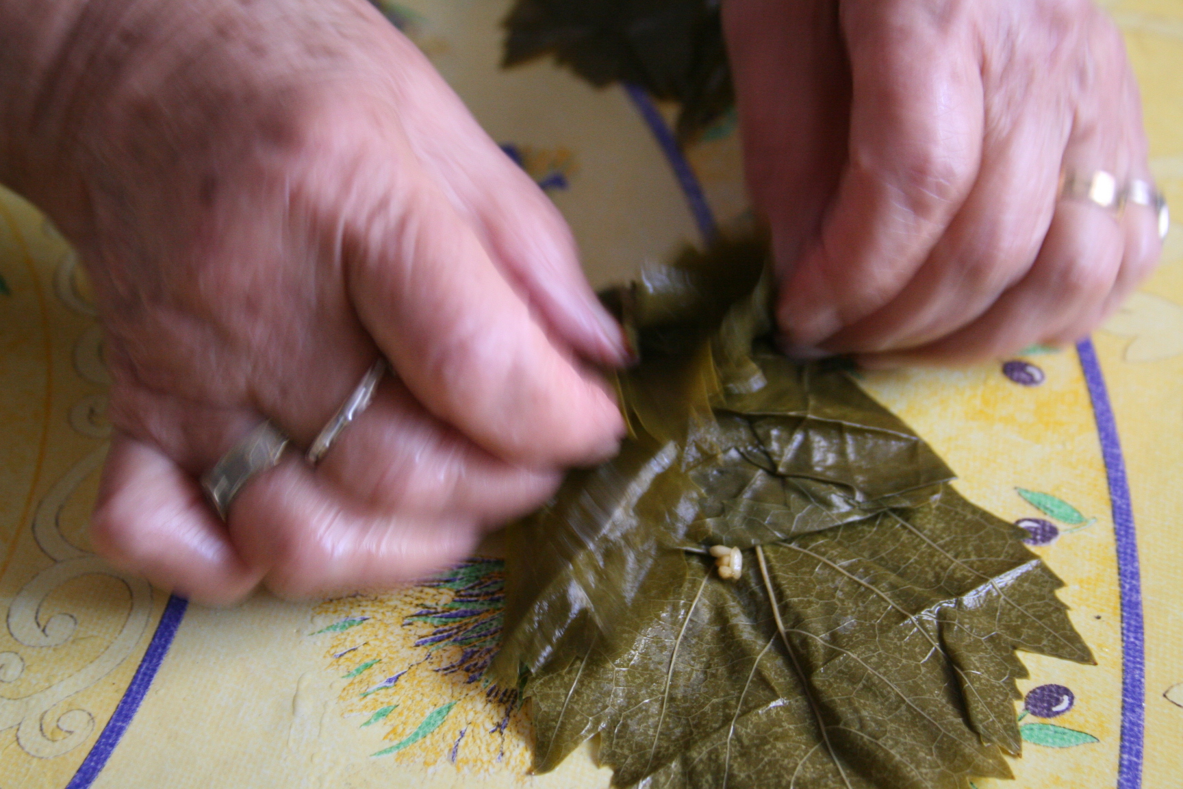 folding and rolling grape leaves folding and rolling grape leaves