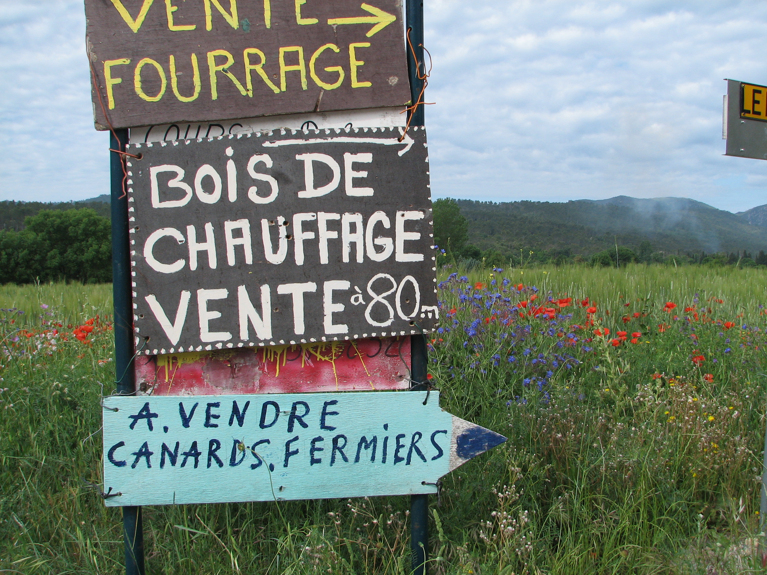 a vendre canards fermiers a vendre canards fermiers