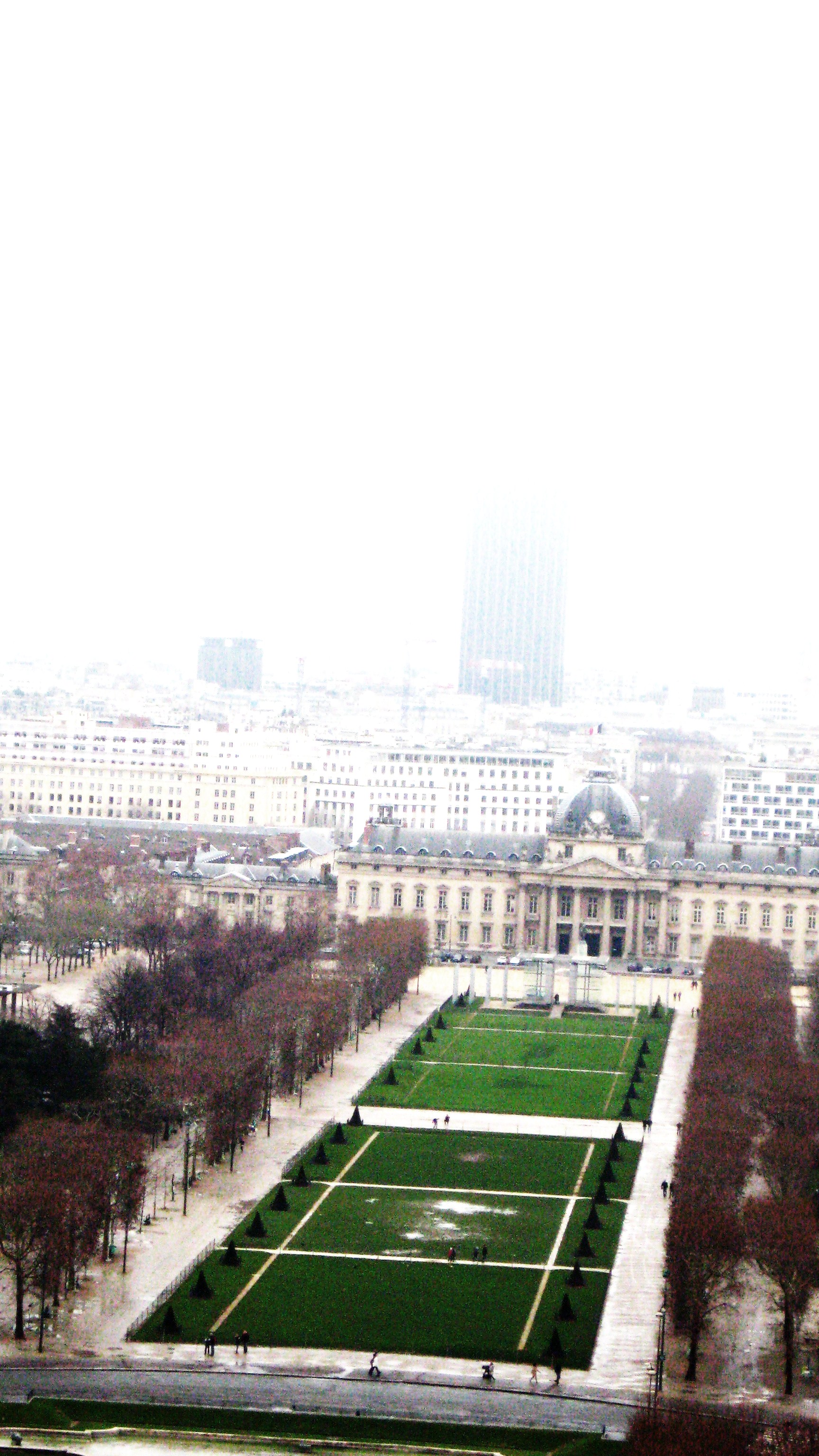 a view from the Eiffel Tower champs de mars