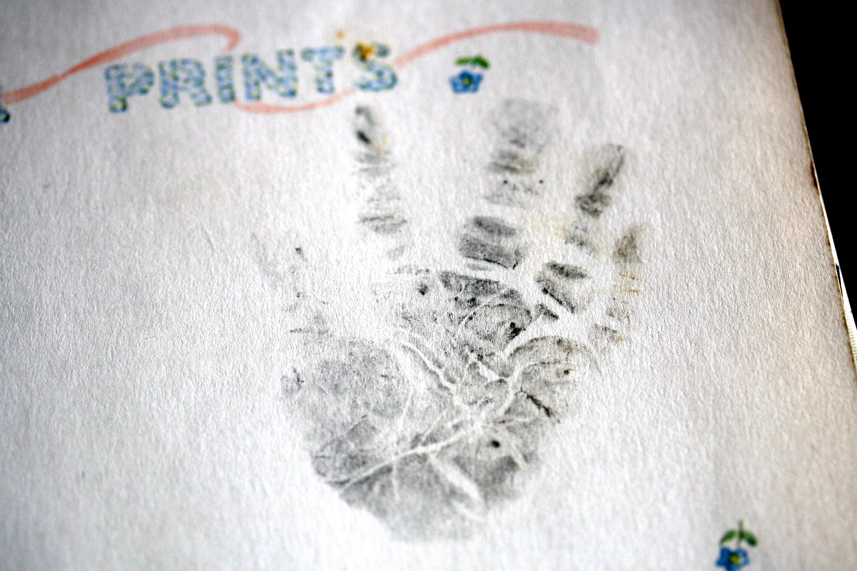Hand-print