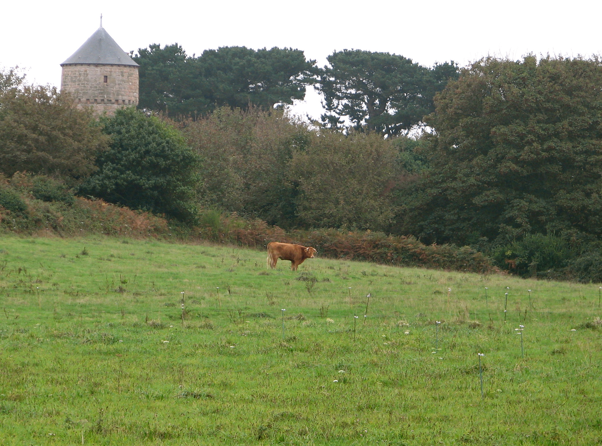 French countryside with a tower nearby.