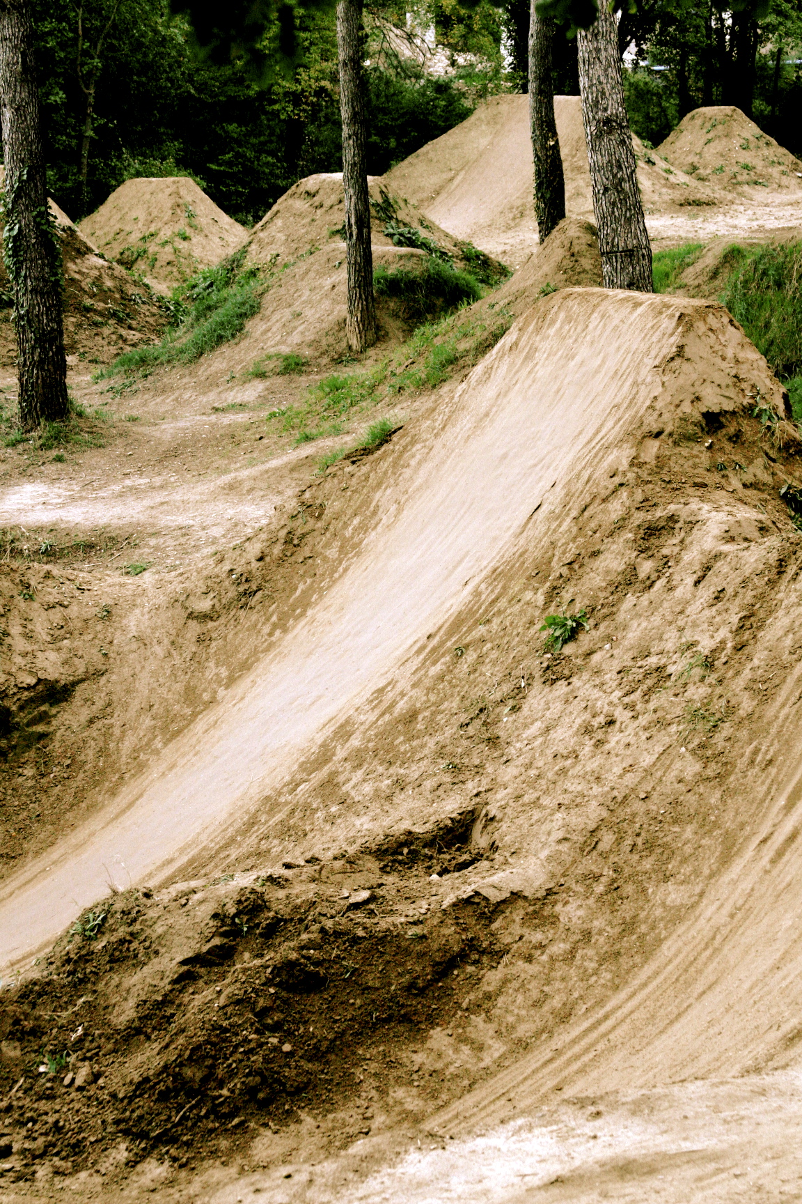 BMX dirt trails