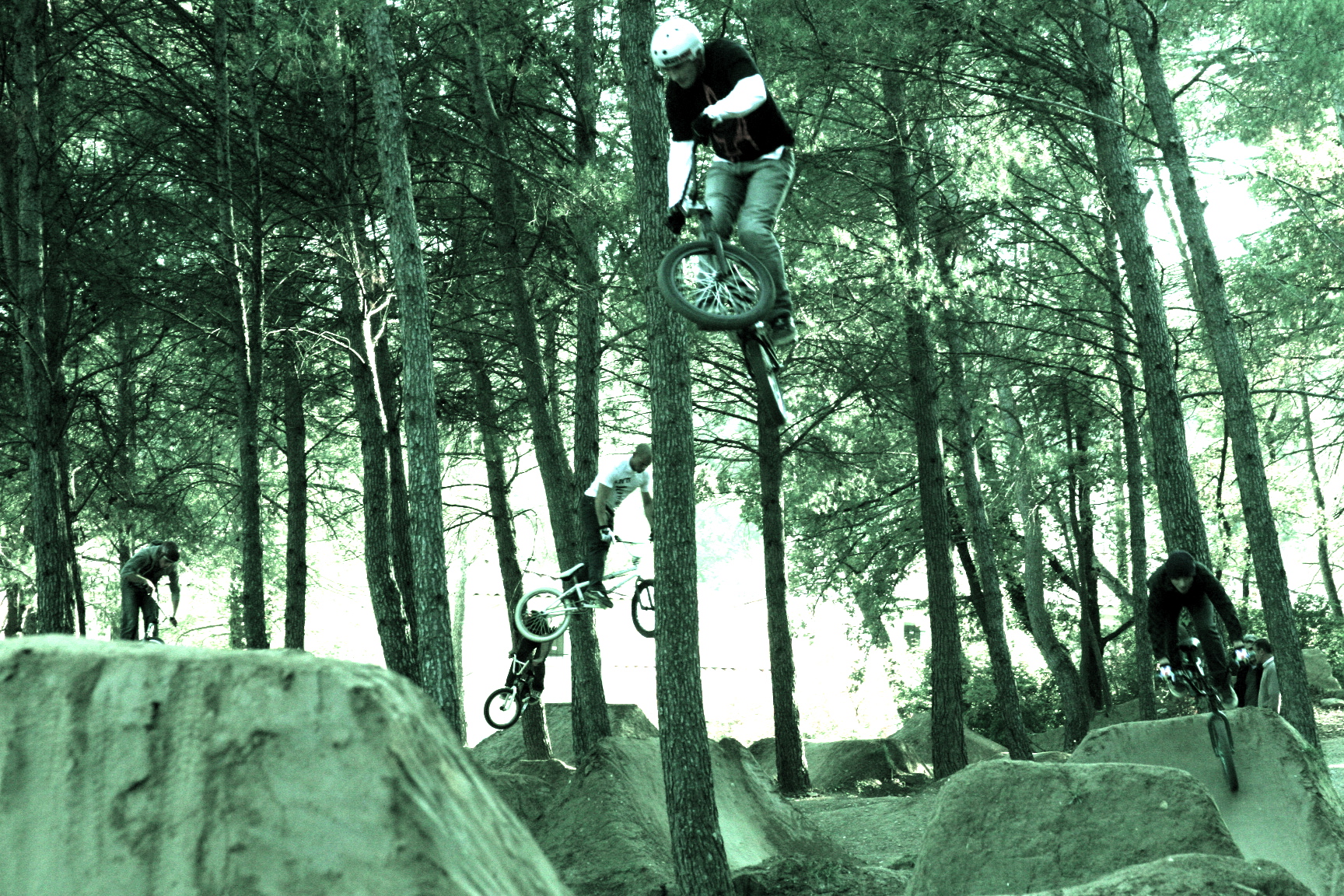 BMX dirt in the forest France