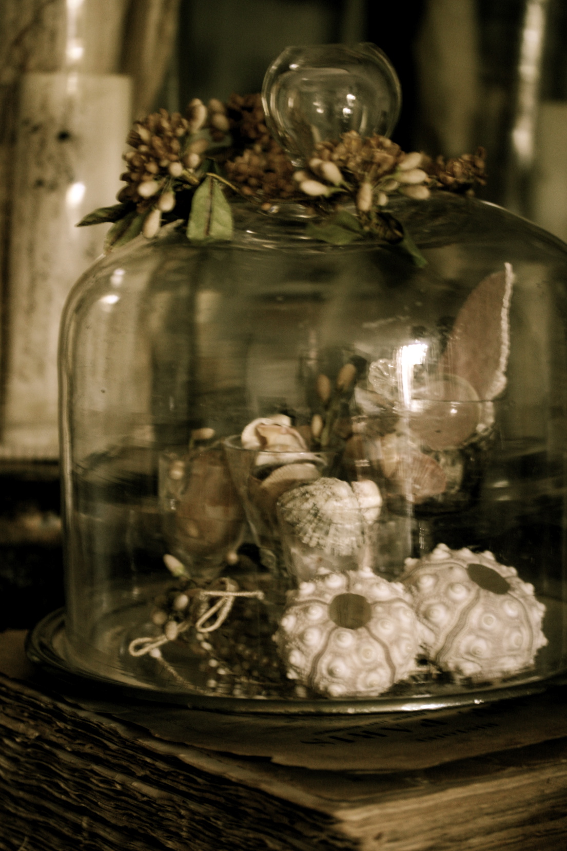 French Brocante Finds