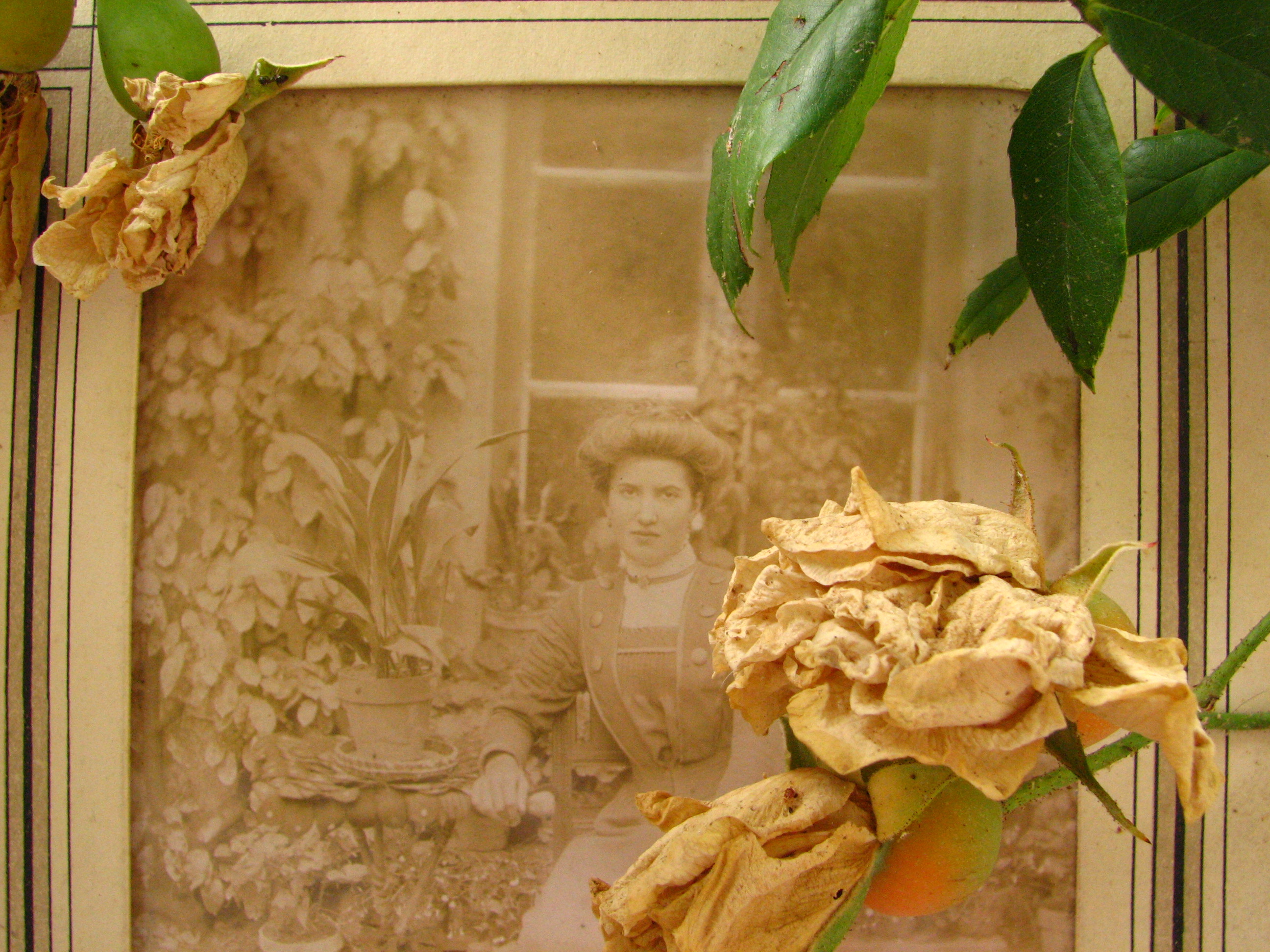 Waiting to go to the Brocante Waiting to go to the Brocante