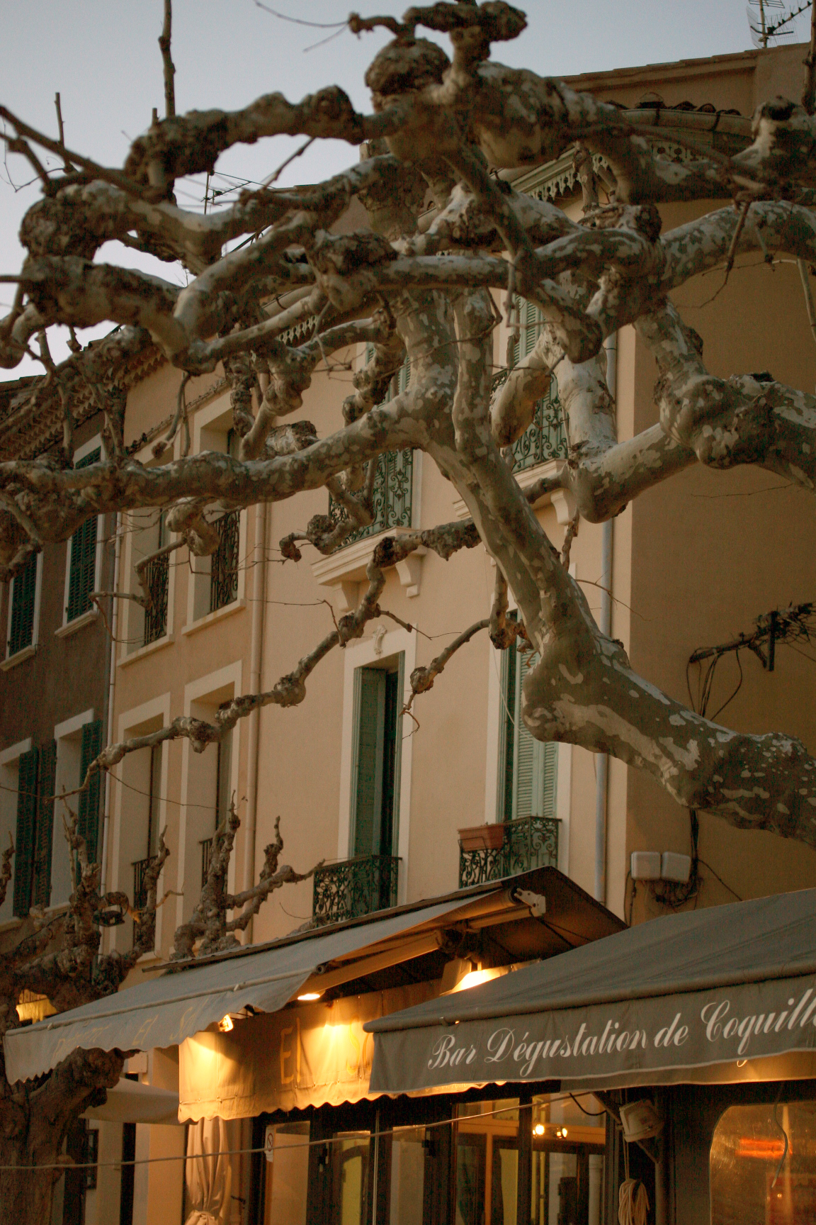 Restaurant-cassis