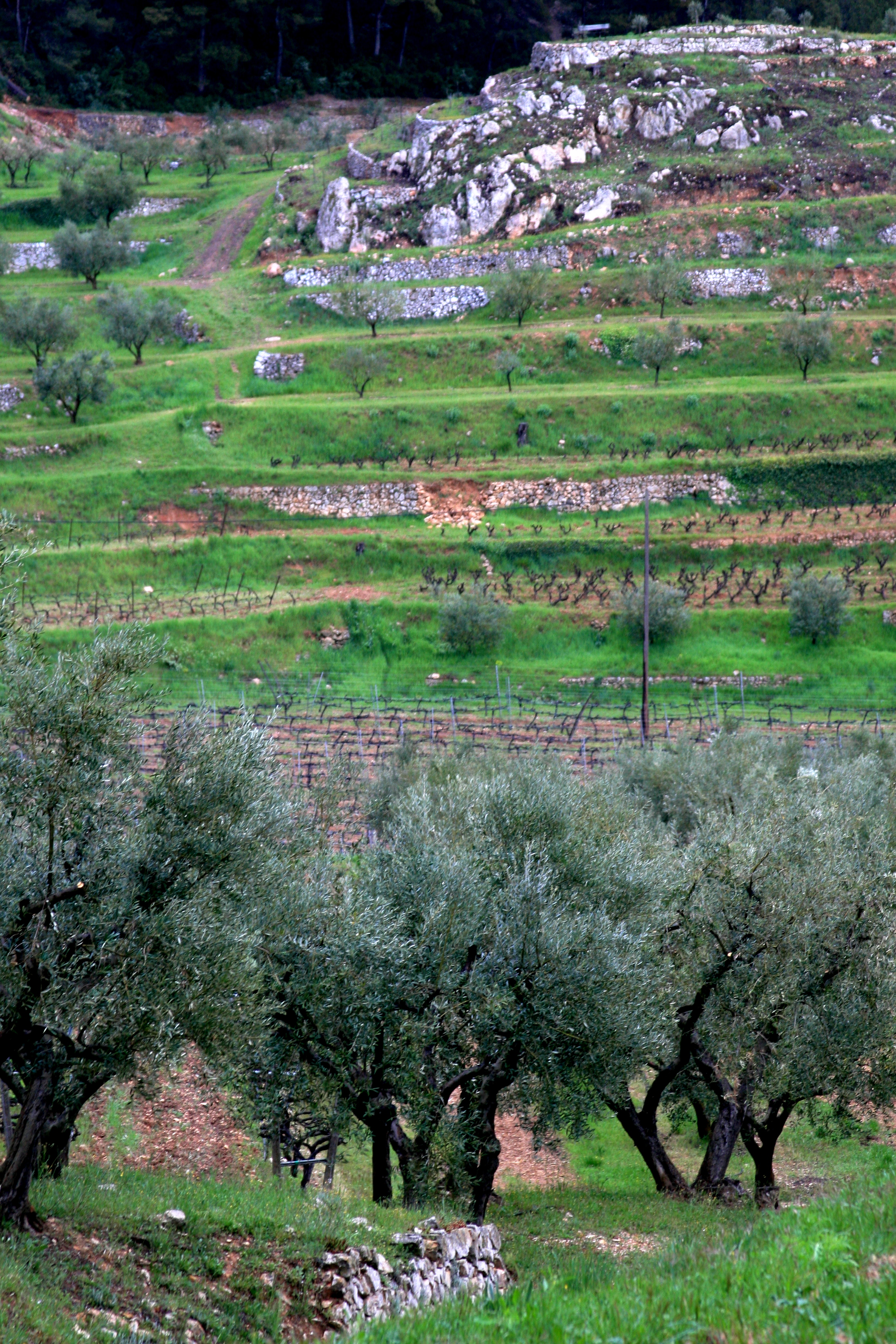 French countryside French countryside