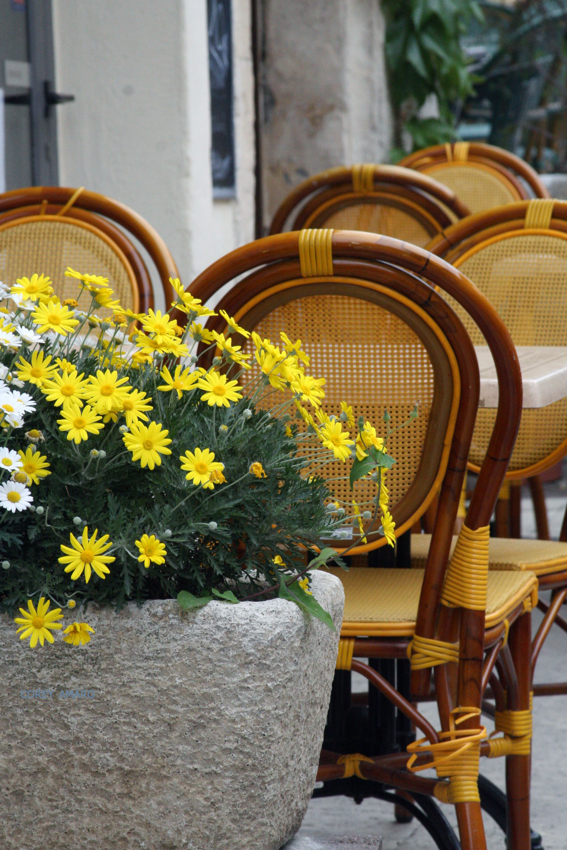 Yellow-bistro-chairs