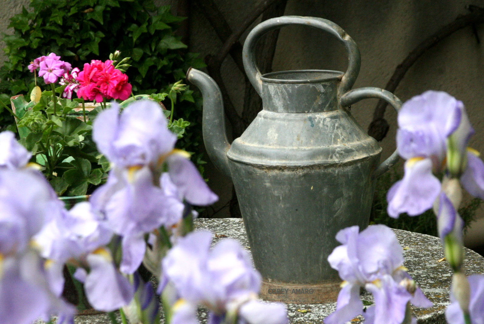Watering-can