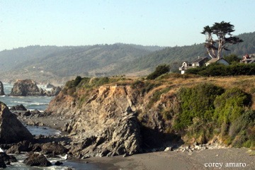 CoreyAmaro_westport_coast