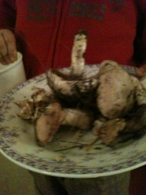 No Way am I Eating These. Even if he is soooooo Cute!