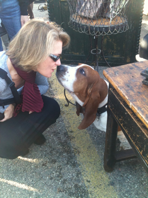 Going Through the Motions