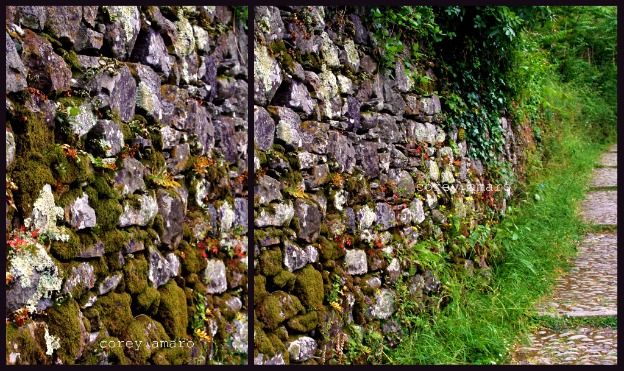 Stone wall in france