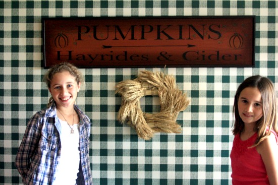 Thanksgiving pumpkin