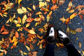 Leaves and metallic shoes