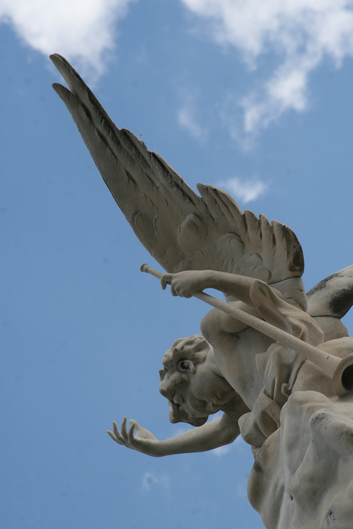 angel wings angel wings