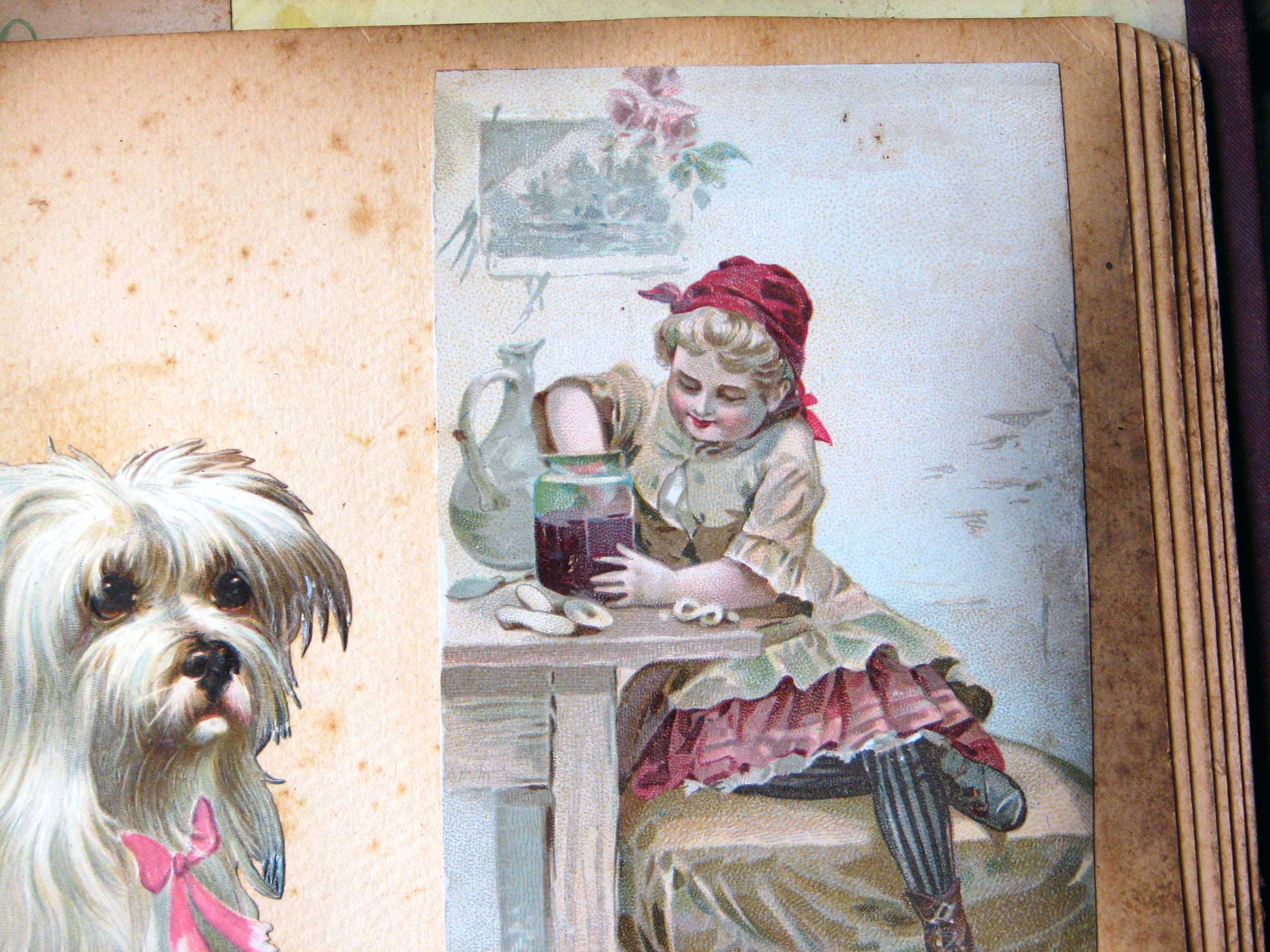 Bee-scooper Bee-scooper