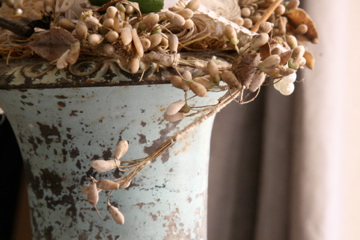 corey amaro photo,wax blossoms in an urn
