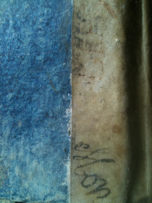 Finds on A Frozen Morning