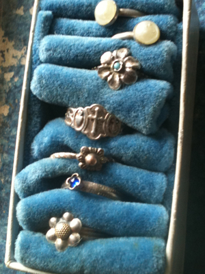 Finds on A Frozen Morning