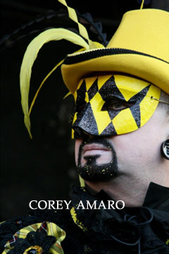 Yellow-jacket-venice