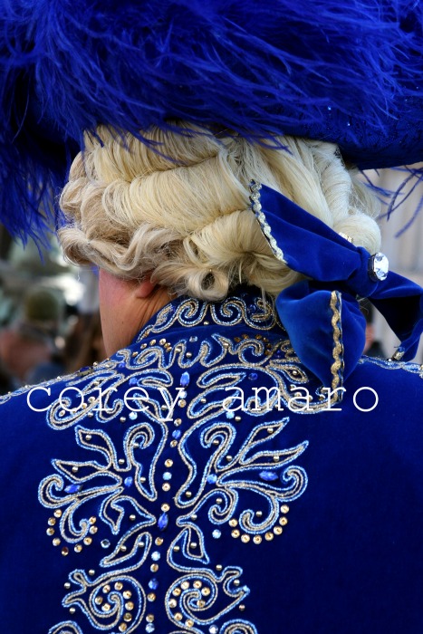 Carnival Venice in blue