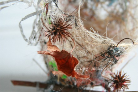 Bird nest details Bird nest details