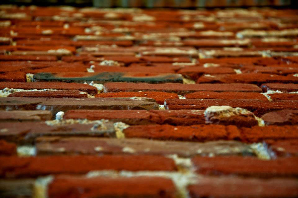 Holly-bricks Holly-bricks