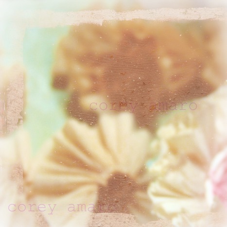 A rose is a rose is a rose