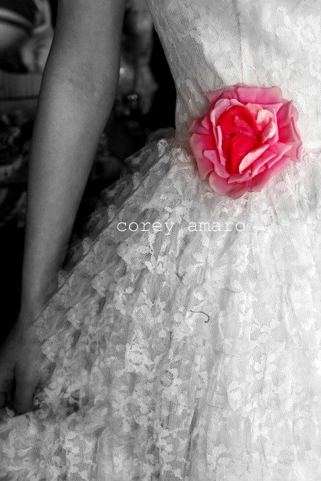 Easter rose