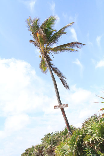 Tulum-beach-for-sale Tulum-beach-for-sale