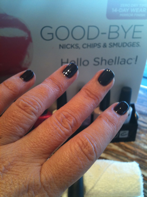 On the Boat, views from inside