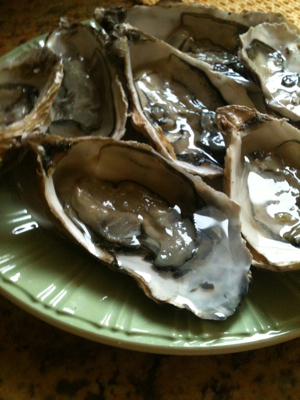 Oysters and the Baguette