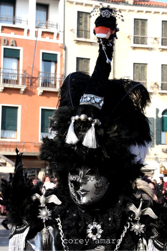 Black swan mask carnival Black swan mask carnival