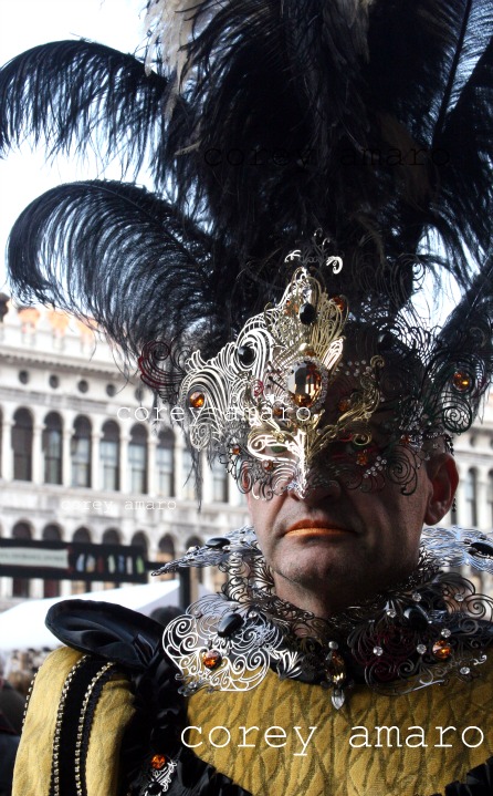 Metallic mask and collar venice