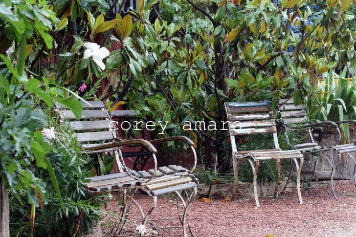 Into the garden of delights