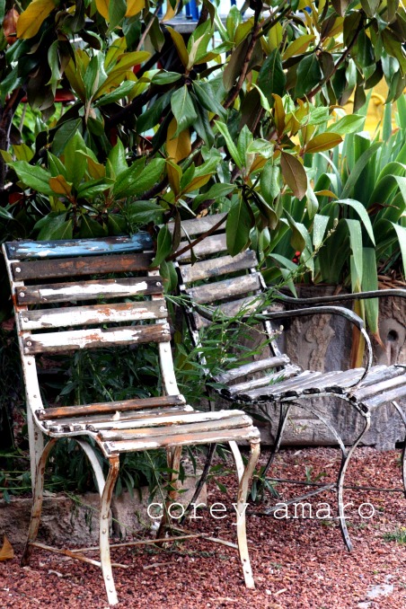 Into the garen of delight