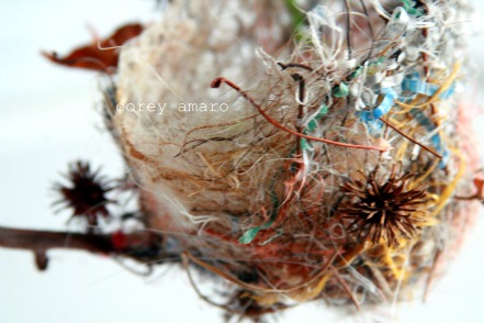 The bird nest The bird nest