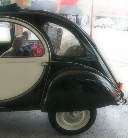 DEUX_CHEVAUX_CLOSE_UP