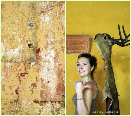 Shaman mask Shaman mask