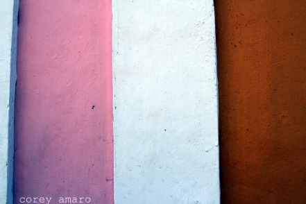 IMGrose and seina facade colors merida