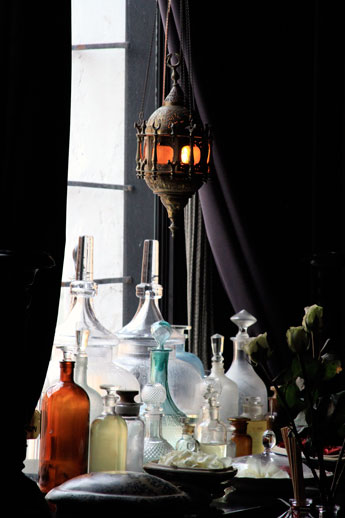 Corey-amaro-for-Coqui-Coqui Corey-amaro-for-Coqui-Coqui