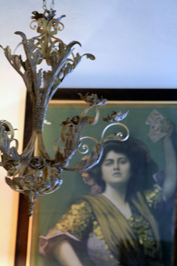 Coqui-coqui-photographs-by-Corey-Amaro Coqui-coqui-photographs-by-Corey-Amaro