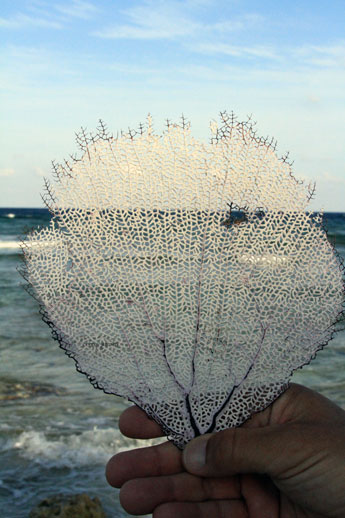 Blue-sea-white-sand Blue-sea-white-sand