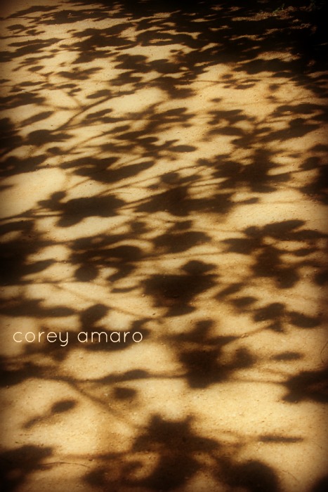 Patterns on the ground Patterns on the ground