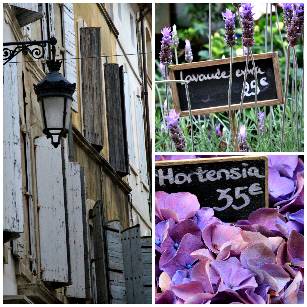 French shutters and flowers