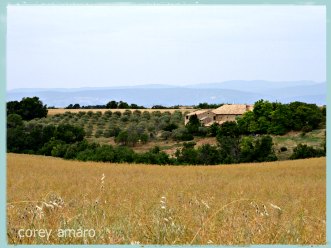 Provence countryside