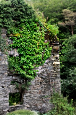 Stone house, Boreens,back roads,ireland